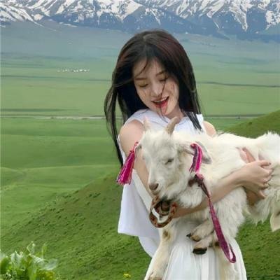 荒野的寿飞行队 完全版