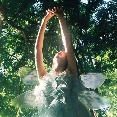 世界：新吉普赛之王